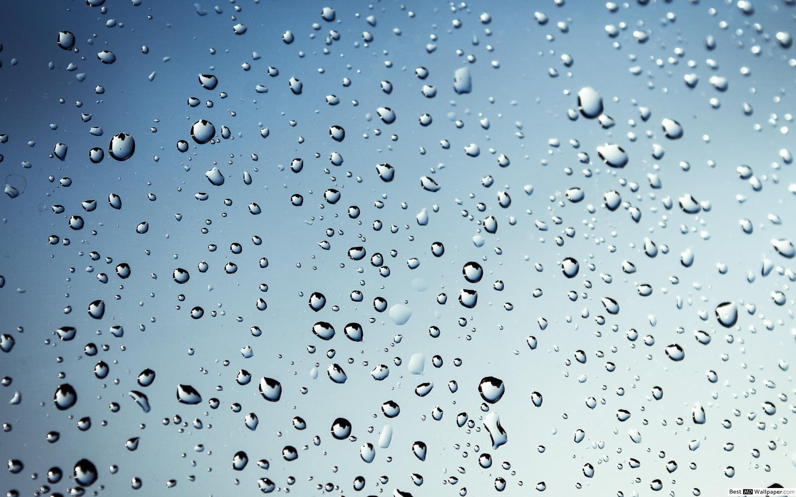 Background Rain On Glass - 2560x1600 Wallpaper - teahub.io