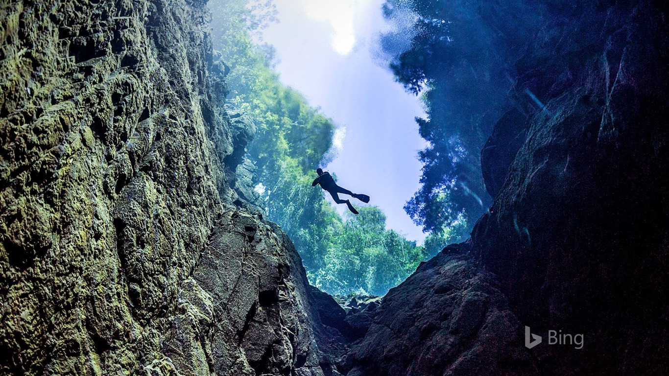 Bonito Diver In Lagoa Misteriosa Cenote-2017 Bing Desktop - Bing - HD Wallpaper 