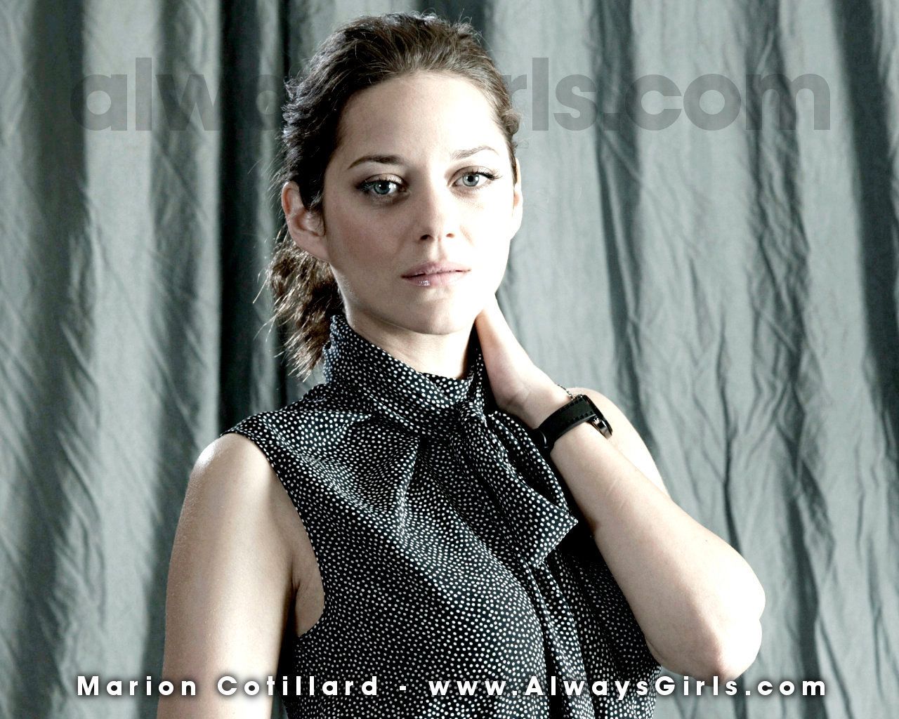 Marion Cotillard Wallpaper - 1280x1024 Wallpaper - teahub.io