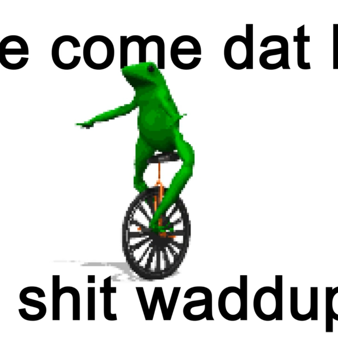 Unicycle Frog - 1080x1080 Wallpaper - teahub.io