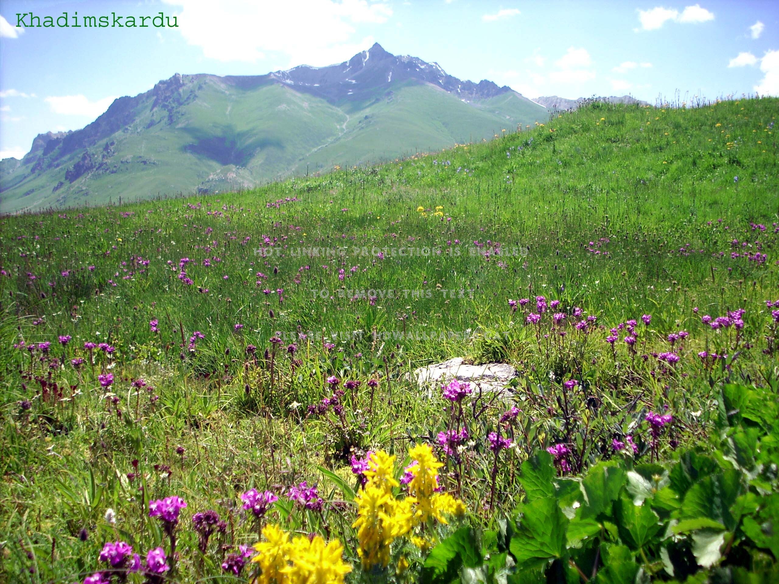 Deosai Skardu Pakistan Ladakh Tibet Kargil - 2560x1920 Wallpaper ...