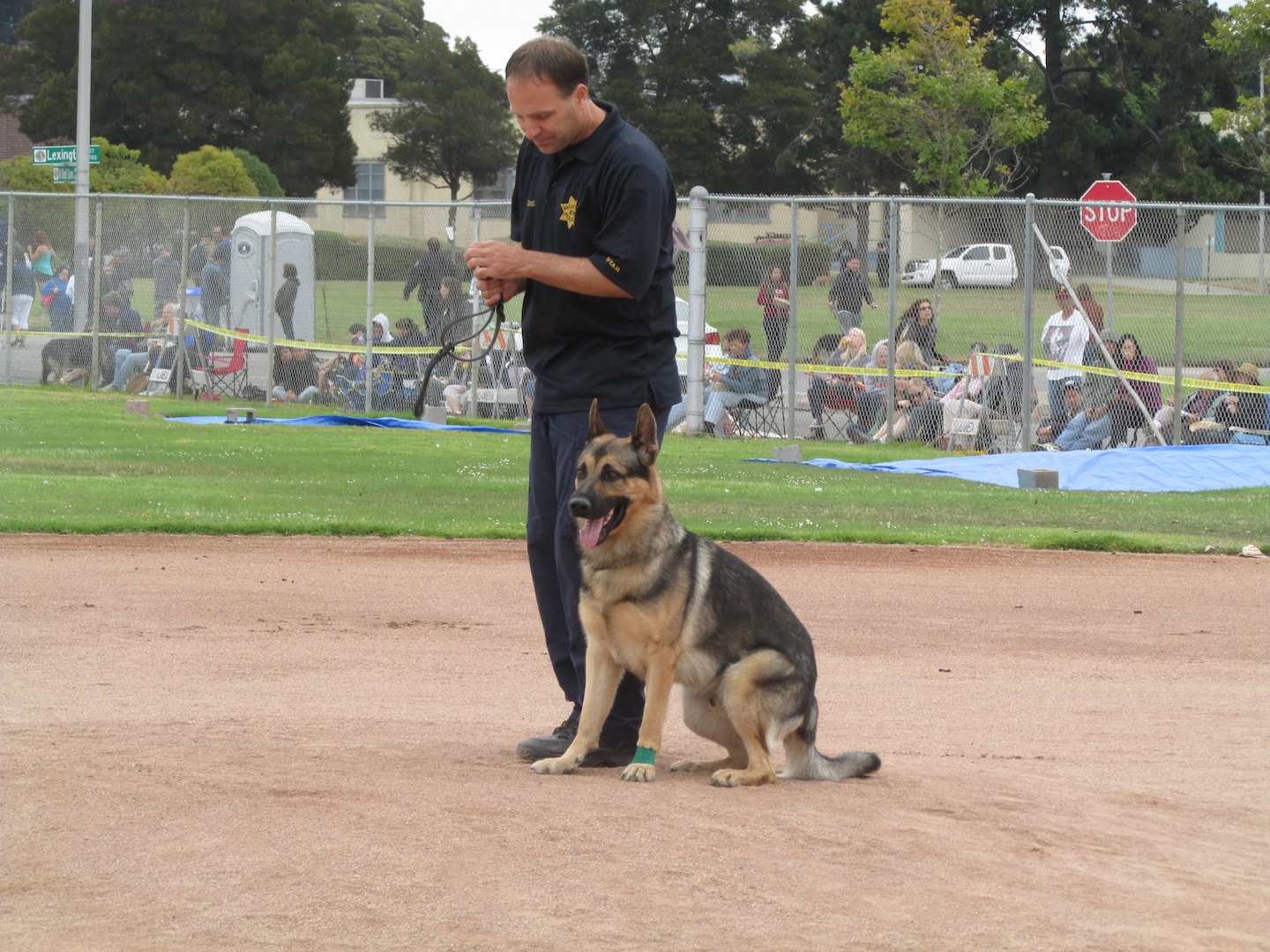 K9 Competition - Darren Young Vacaville Police - 1440x1080 Wallpaper 