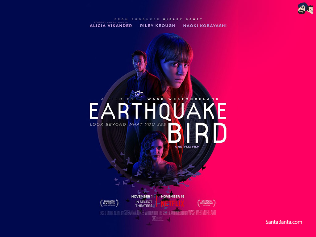 Earthquake Bird Wallpaper - Earthquake Bird Wallpaperr - HD Wallpaper 
