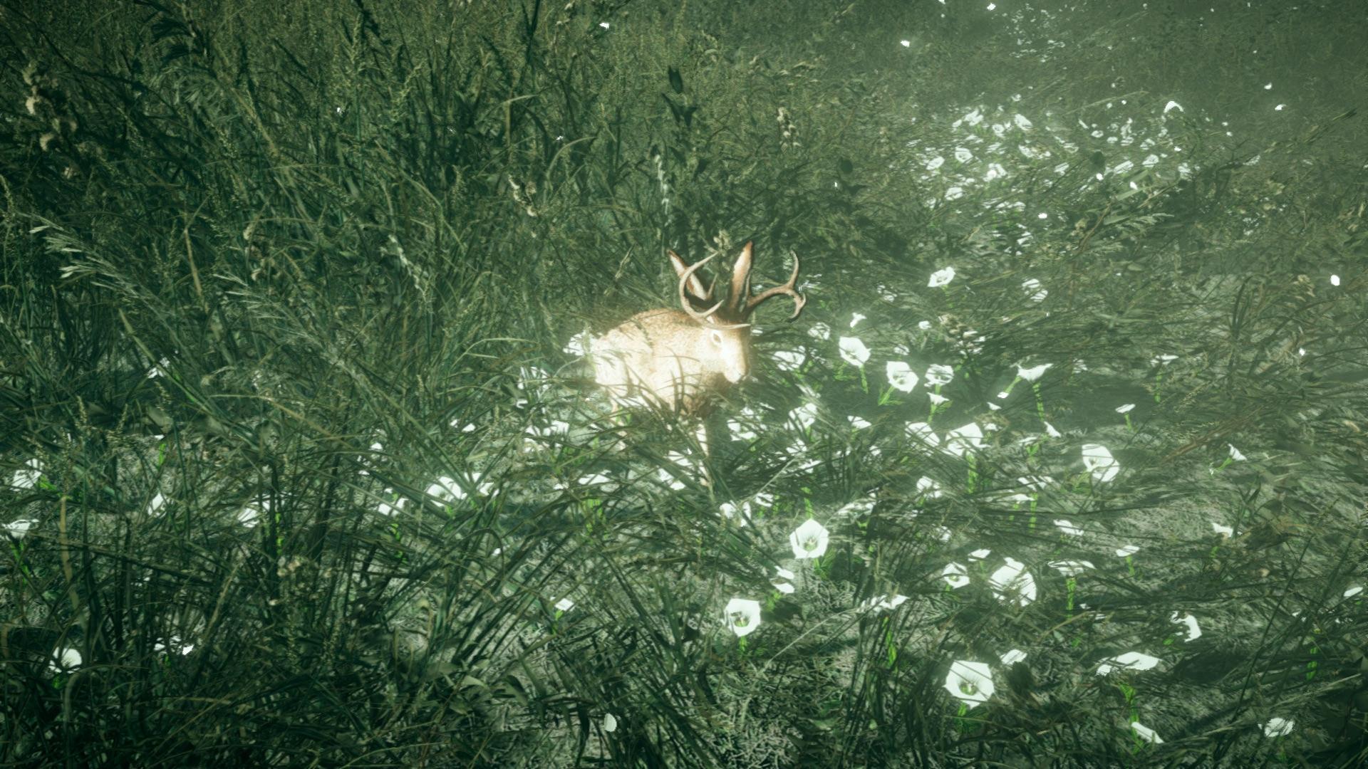 Far Cry 5 Jackalope - 1920x1080 Wallpaper - teahub.io