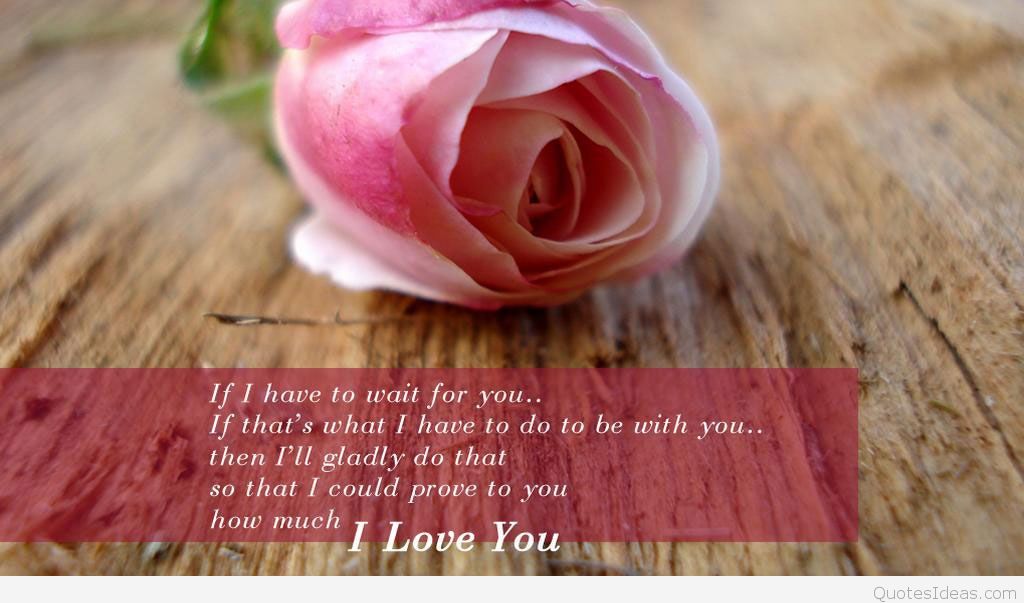 Cute Flower I Love You Hd Wallpaper - Pink Rose - 1024x603 Wallpaper ...