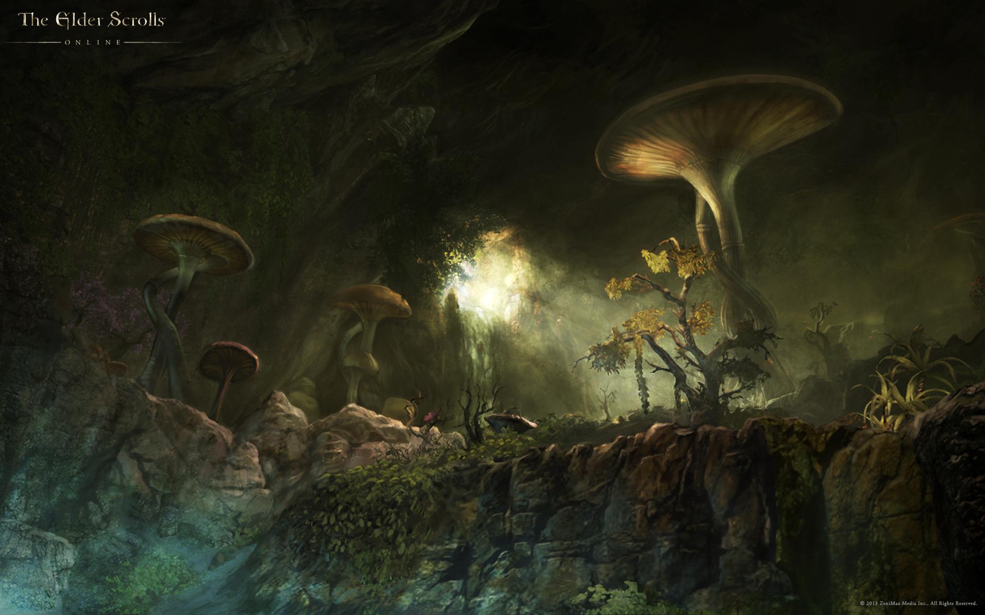 Wallpaper The Elder Scrolls Online - Fungal Grotto - HD Wallpaper 