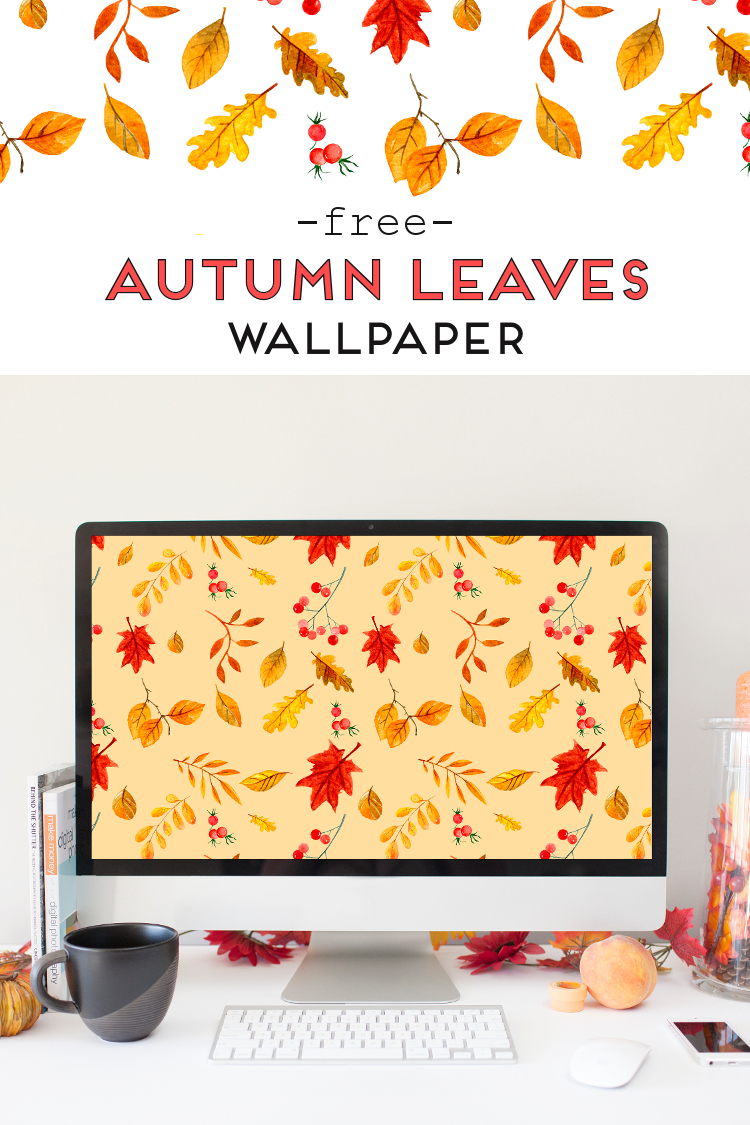 Free Fall Wallpaper - HD Wallpaper 