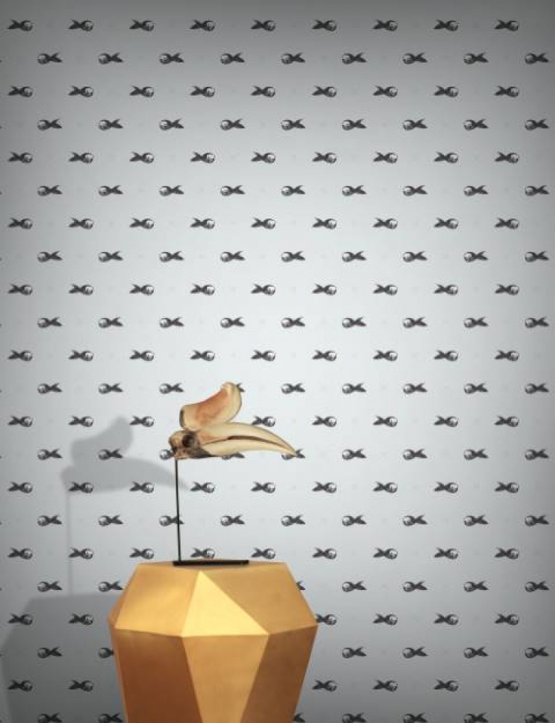 Chicken - HD Wallpaper 