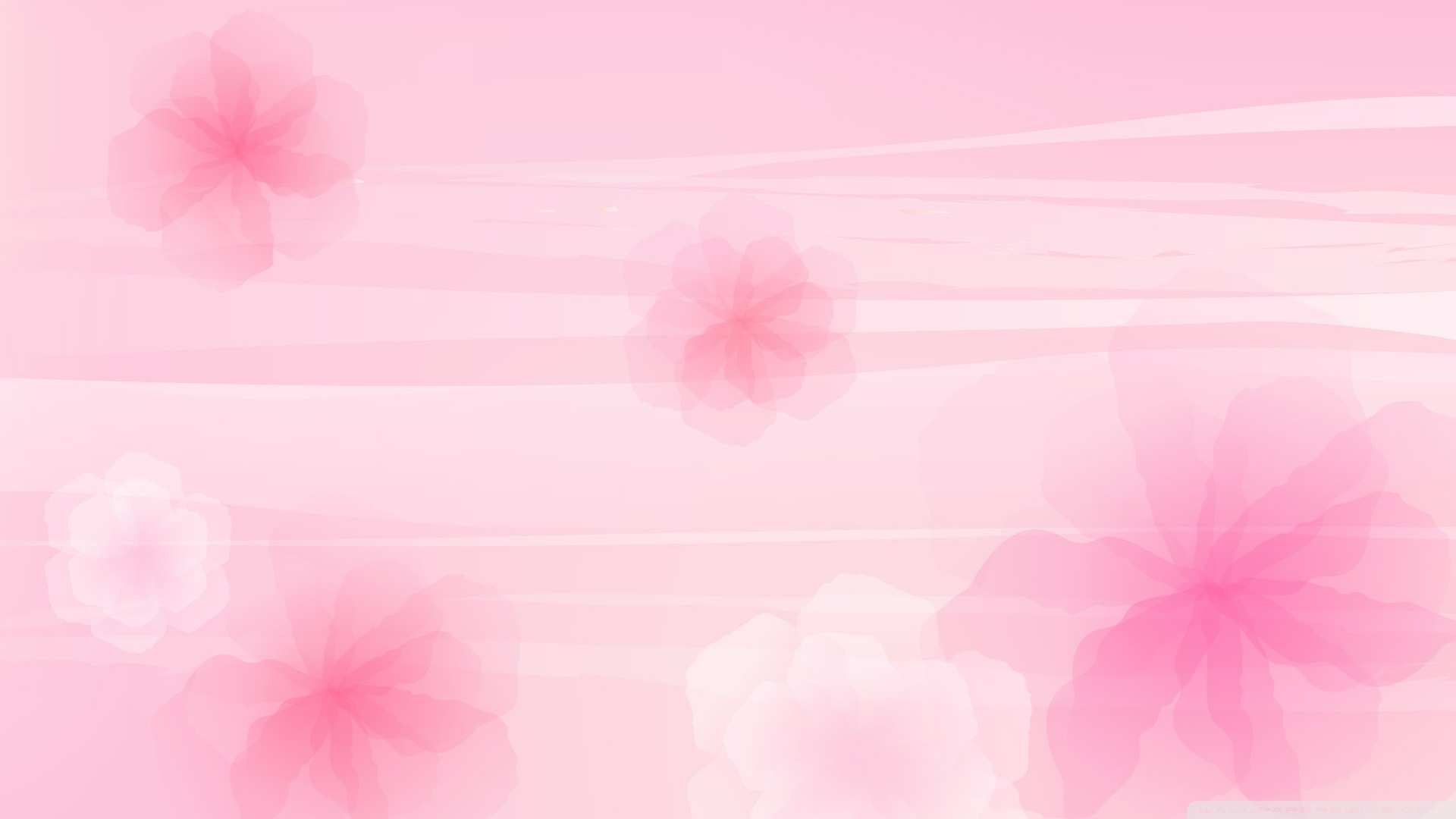 Pink Wallpaper - Pink Background For Christening - 1920x1080 Wallpaper -  