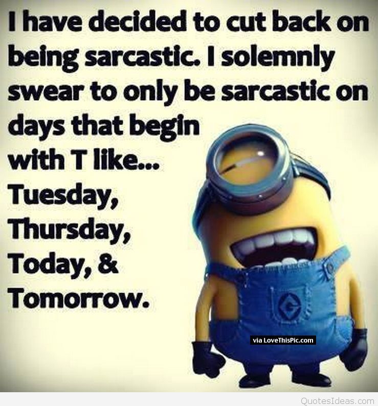 204149 Sarcastic Minion - Poster - 739x795 Wallpaper - teahub.io