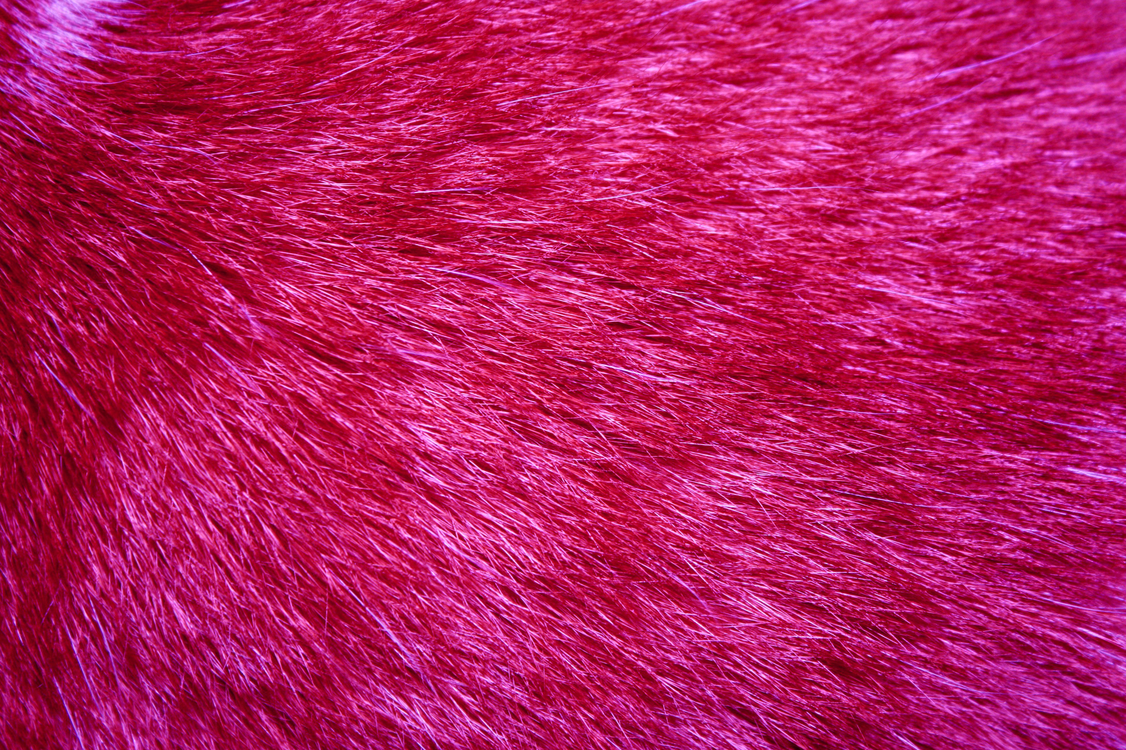 Hot Pink Wallpaper - Hot Pink Fur Hd - 3888x2592 Wallpaper 