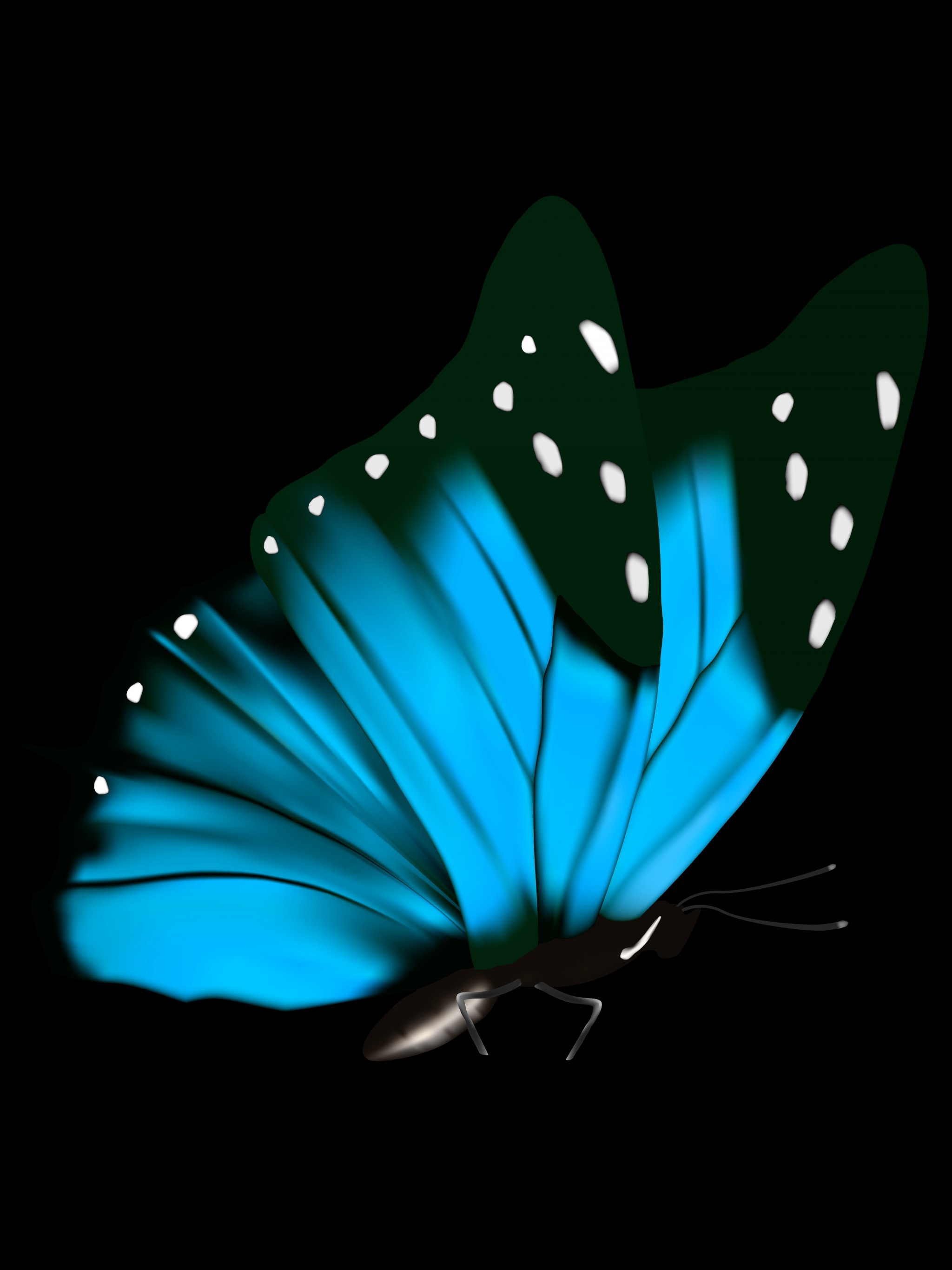 2048x2732, Download Blue Ties And Butterflies 2015, - Transparent Background  Butterfly Png Hd - 2048x2732 Wallpaper 