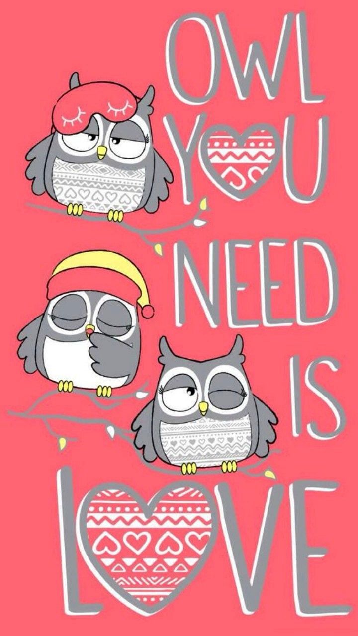 cute owl backgrounds for iphone