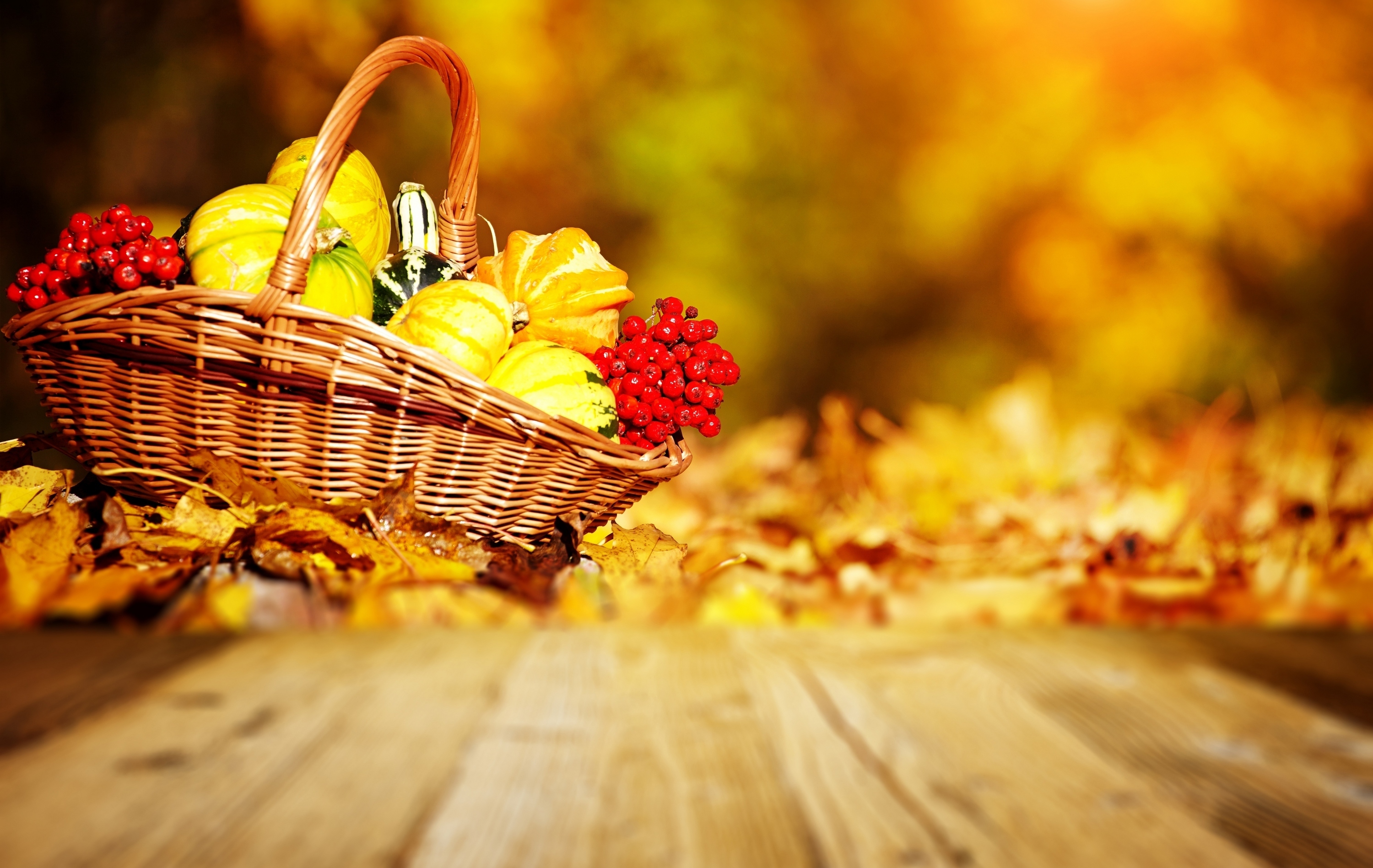 Wallpaper - Autumn Wallpaper Harvest - HD Wallpaper 