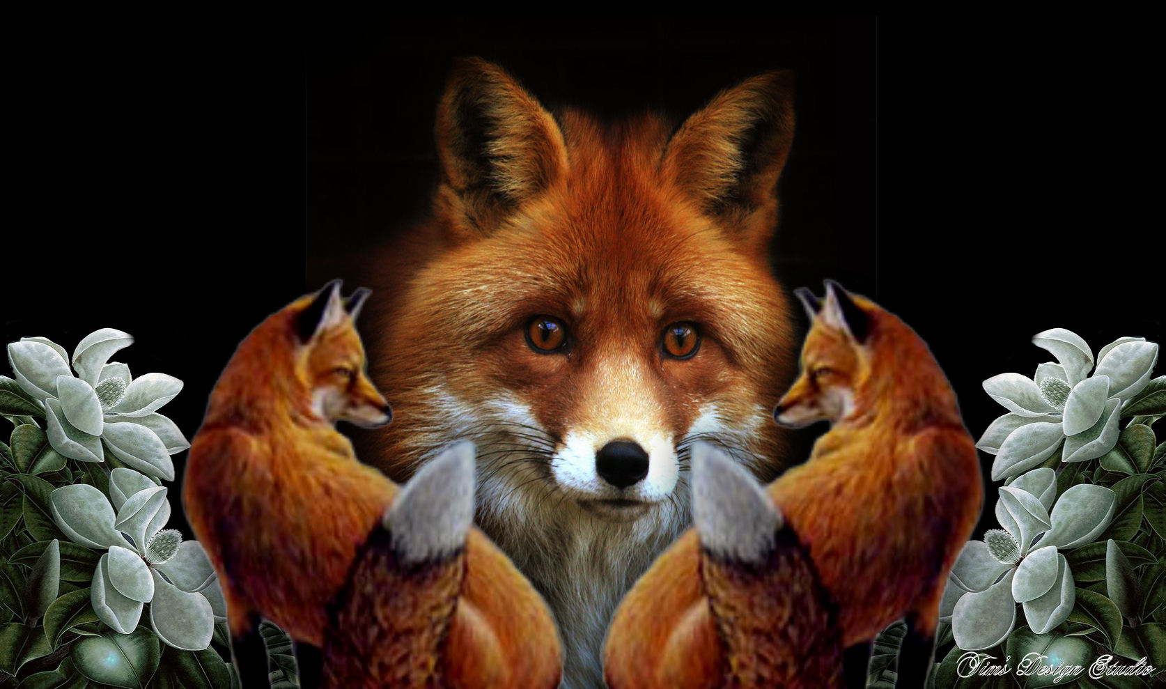 Foxes Faces - HD Wallpaper 