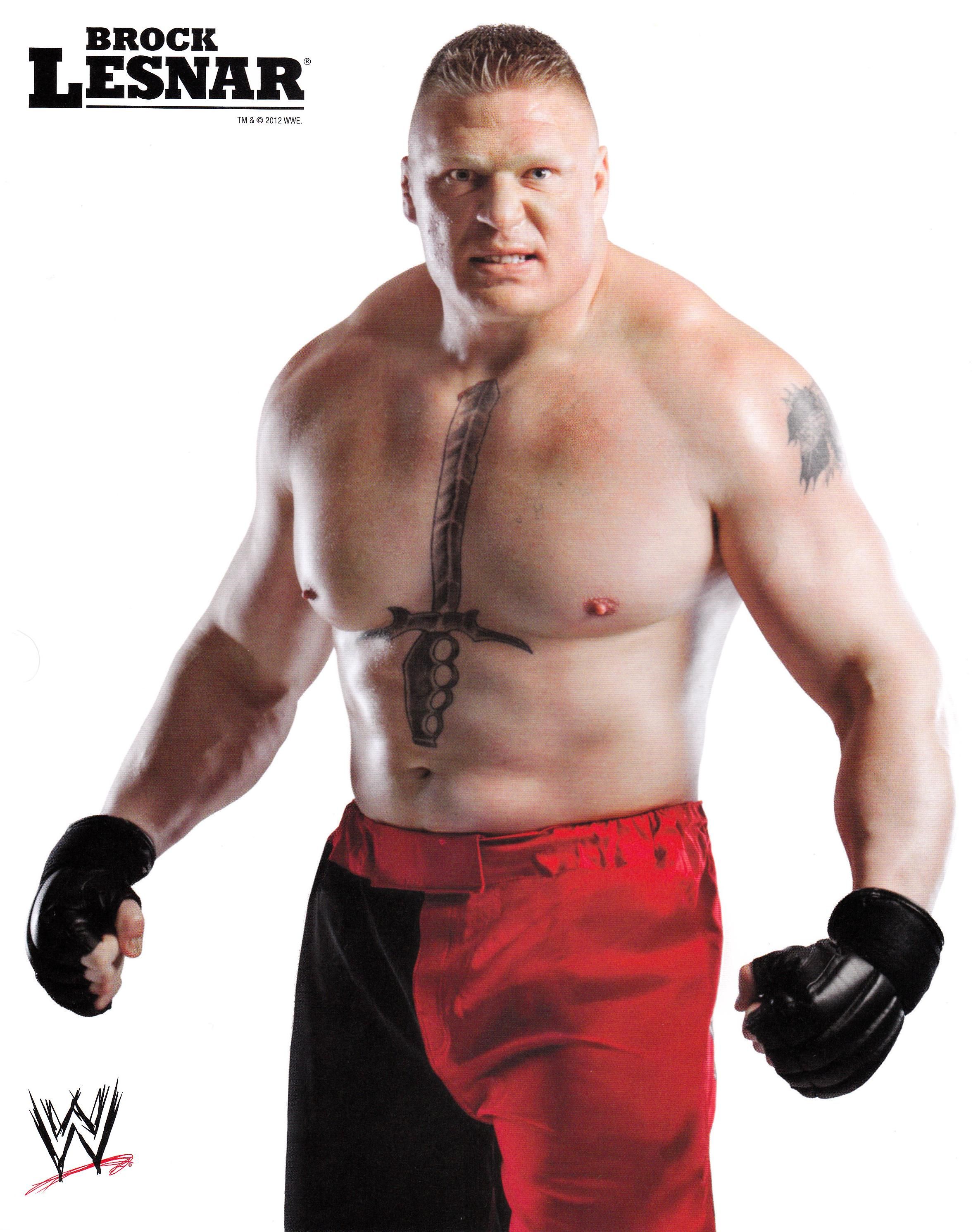 Wwe Brock Lesnar 2015 - HD Wallpaper 