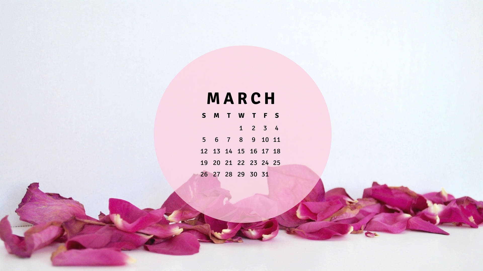 March - 1920x1080 Wallpaper - teahub.io