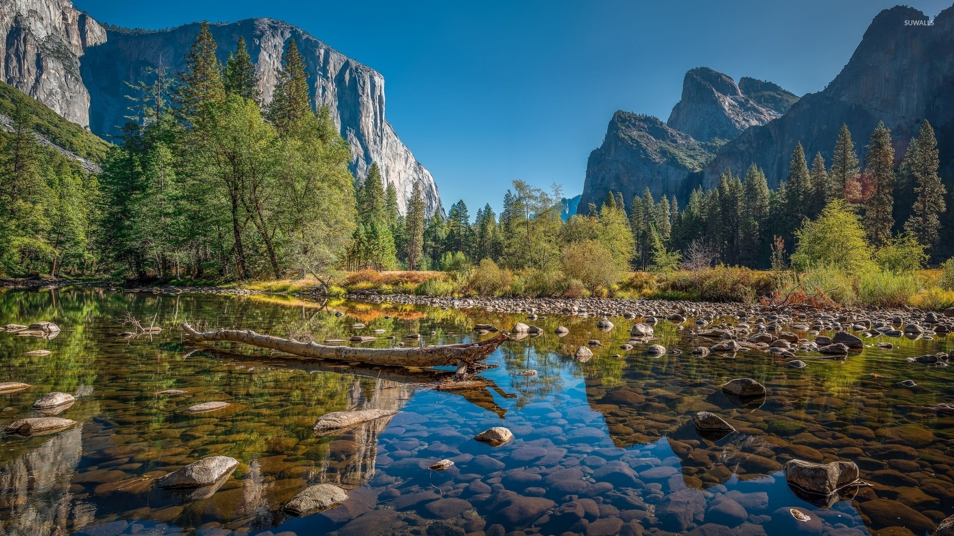 Yosemite National Park [9] Wallpaper - Yosemite National Park Background -  1920x1080 Wallpaper 