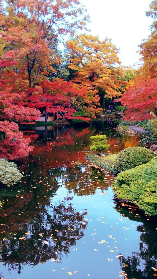 Beautiful Japanese Garden Landscape - 550x977 Wallpaper - teahub.io