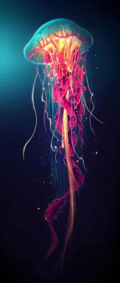 Jellyfish Art - 500x1176 Wallpaper - teahub.io