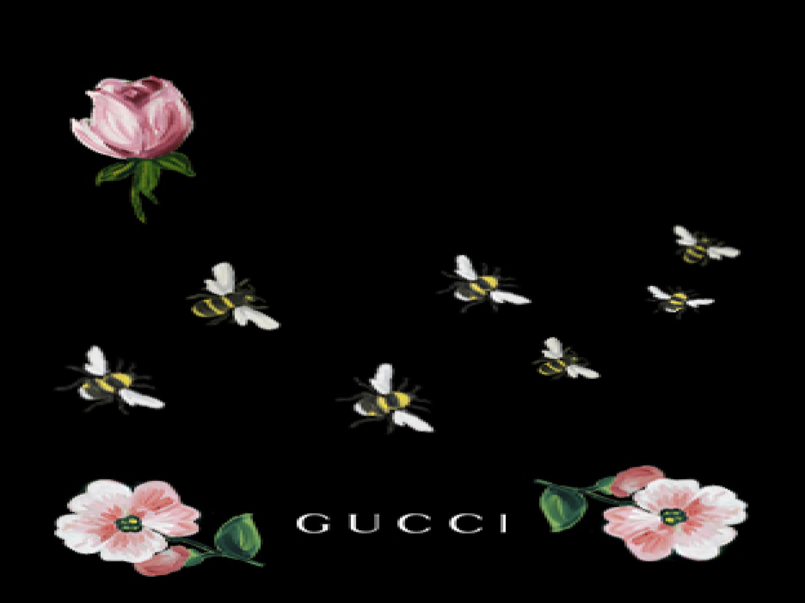 Gucci Wallpaper Hd - 2560x1920 Wallpaper - teahub.io