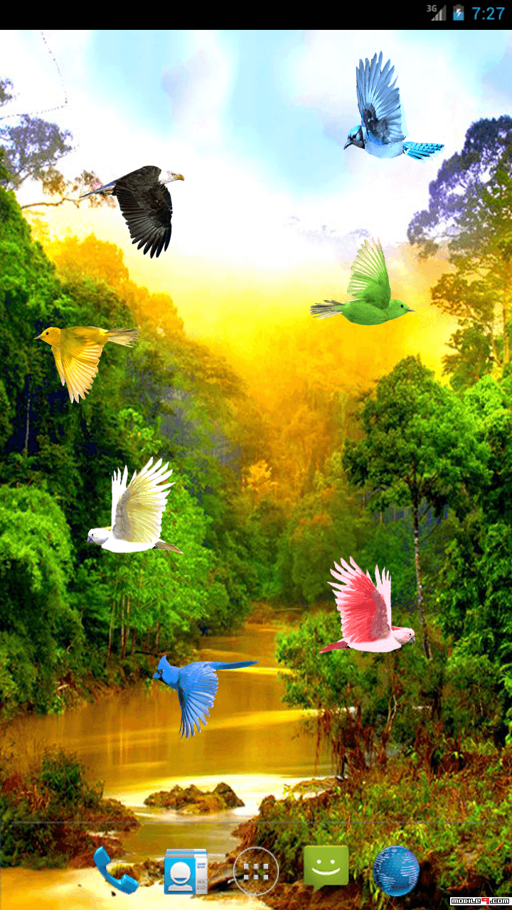 Hd Live Nature Bird Wallpaper Down - 720x1280 Wallpaper teahub.io