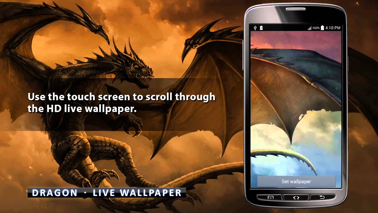 Dragon - HD Wallpaper 