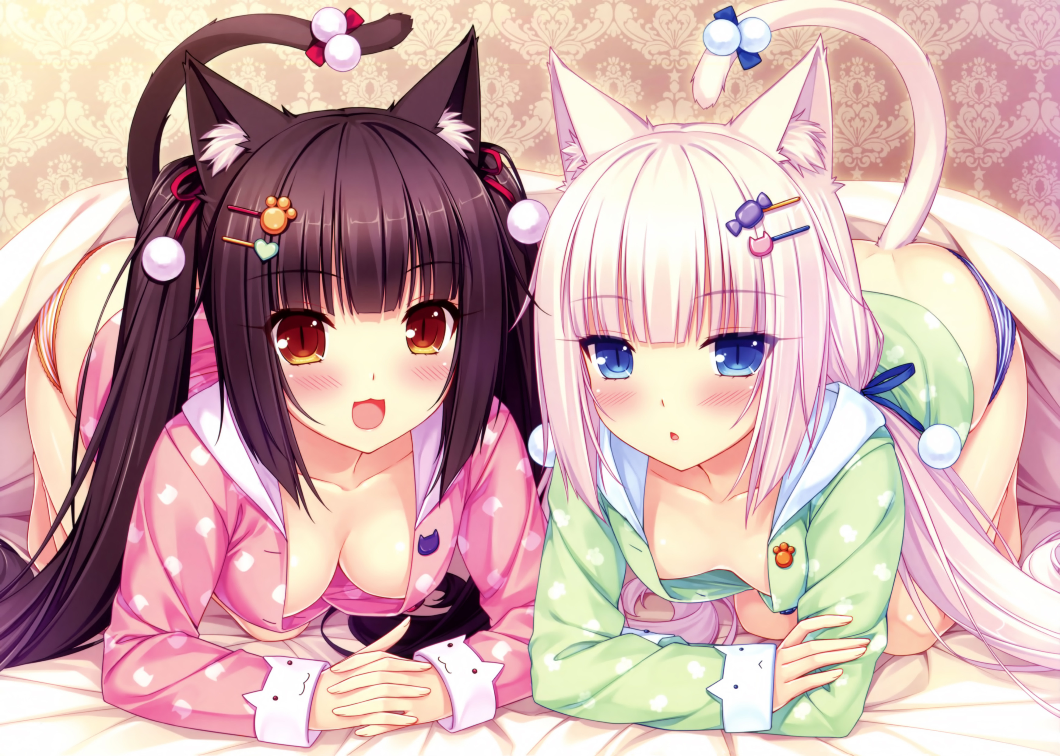 Chocola And Vanilla From Nekoparahave Just Woken Up Nekopara Chocola And Vanilla Hentai 34x2484 Wallpaper Teahub Io