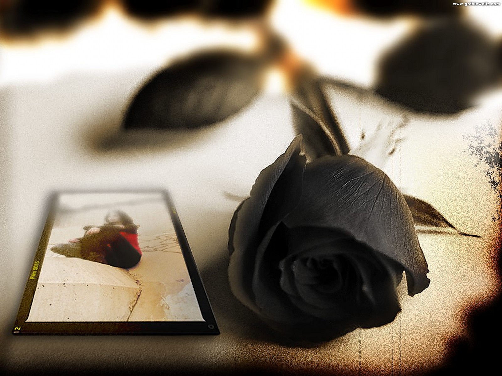 Black Rose Postcard Black Beautiful Rose Wallpaper Hd 1600x1200 Wallpaper Teahub Io