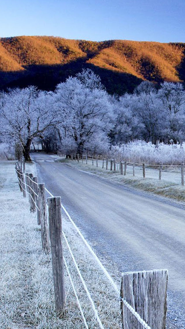Snow Trees And Road Iphone Wallpaper Smoky Mountain Np Winter 640x1136 Wallpaper Teahub Io