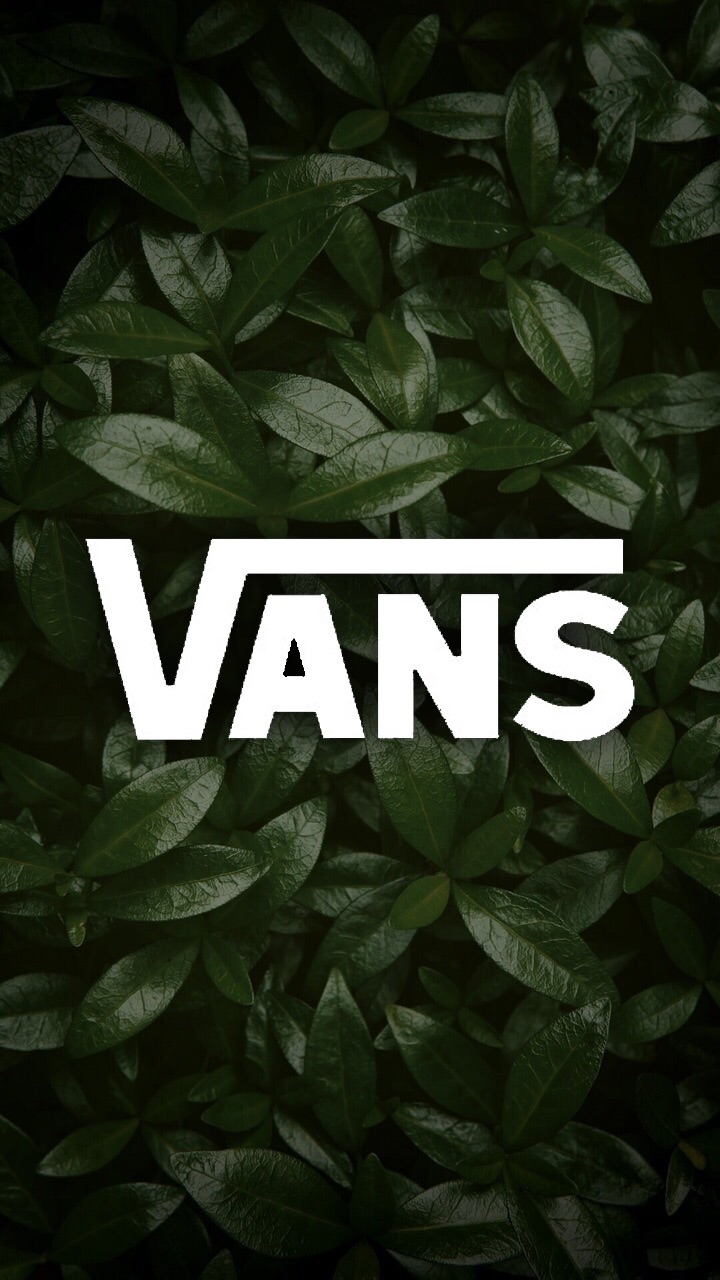 Vans And Shoes Image - Lost Frequencies - HD Wallpaper 
