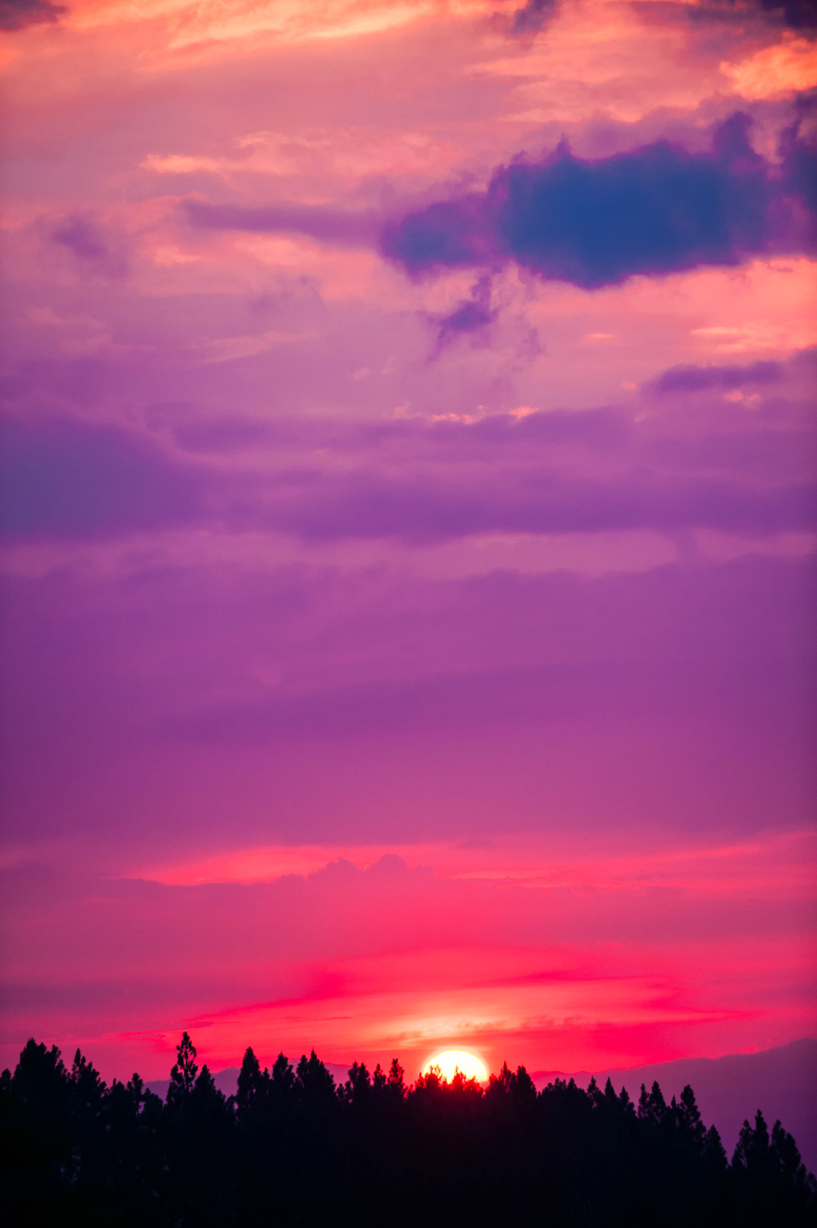 Wallpaper Sunset, Sky, Pink, Trees, Sun - Sky Pink Sunset - 2832x4256  Wallpaper 