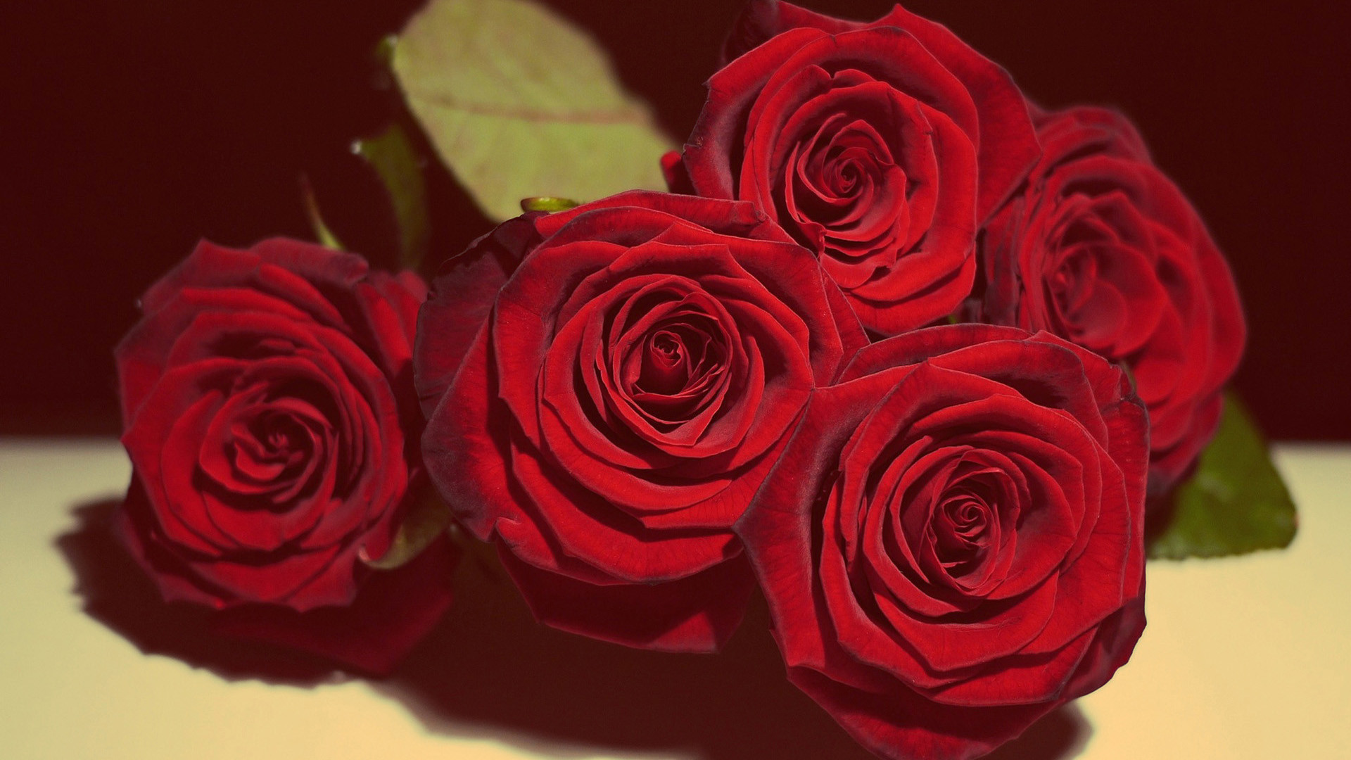 1920x1080, Live Red Roses Wallpapers Red Roses Wallpapers - Romantic Rose Red - HD Wallpaper 