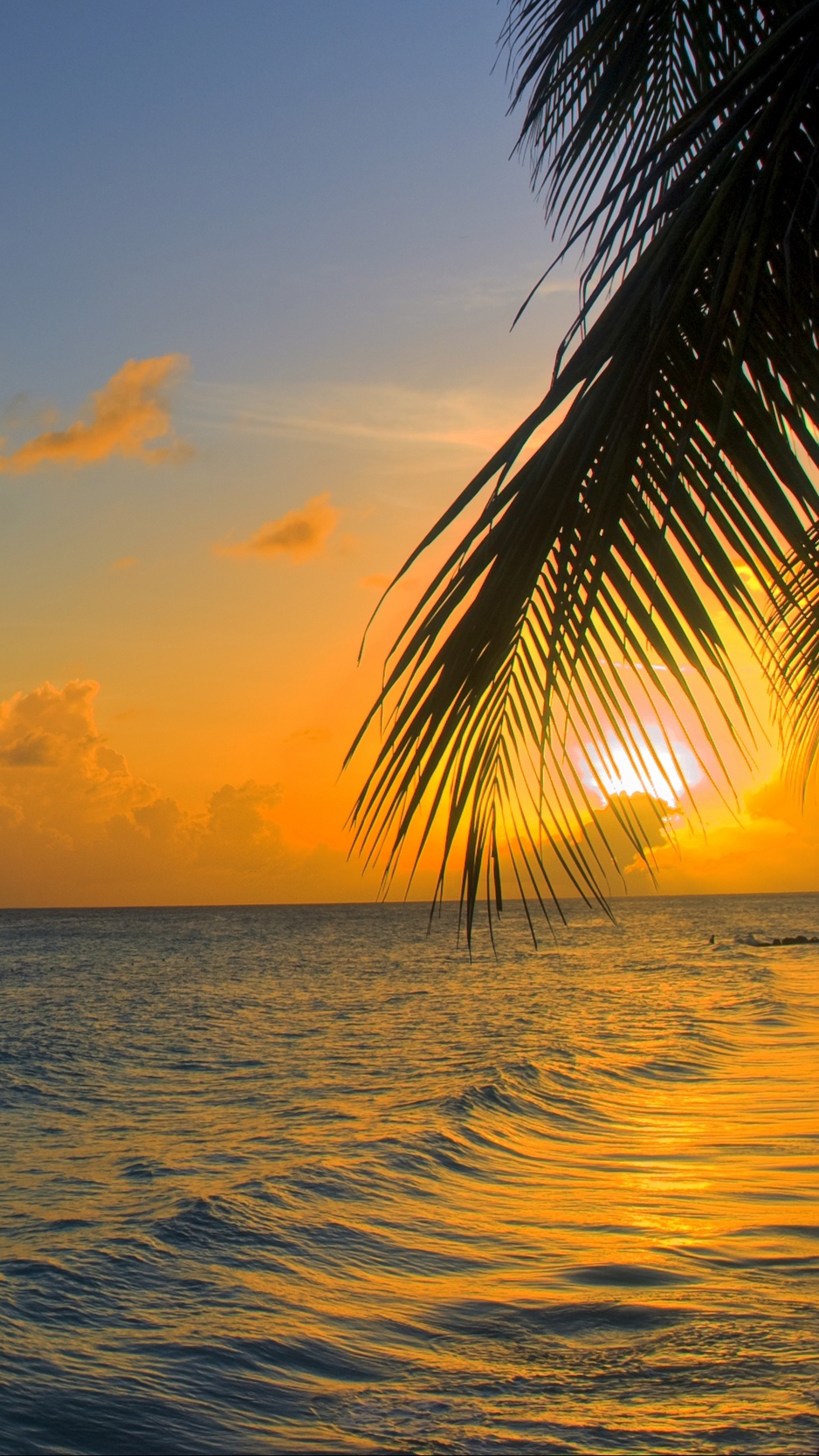 Wallpaper Ocean Sunset Palm Beach Barbados Ocean Sunset Background Iphone 938x1668 Wallpaper Teahub Io