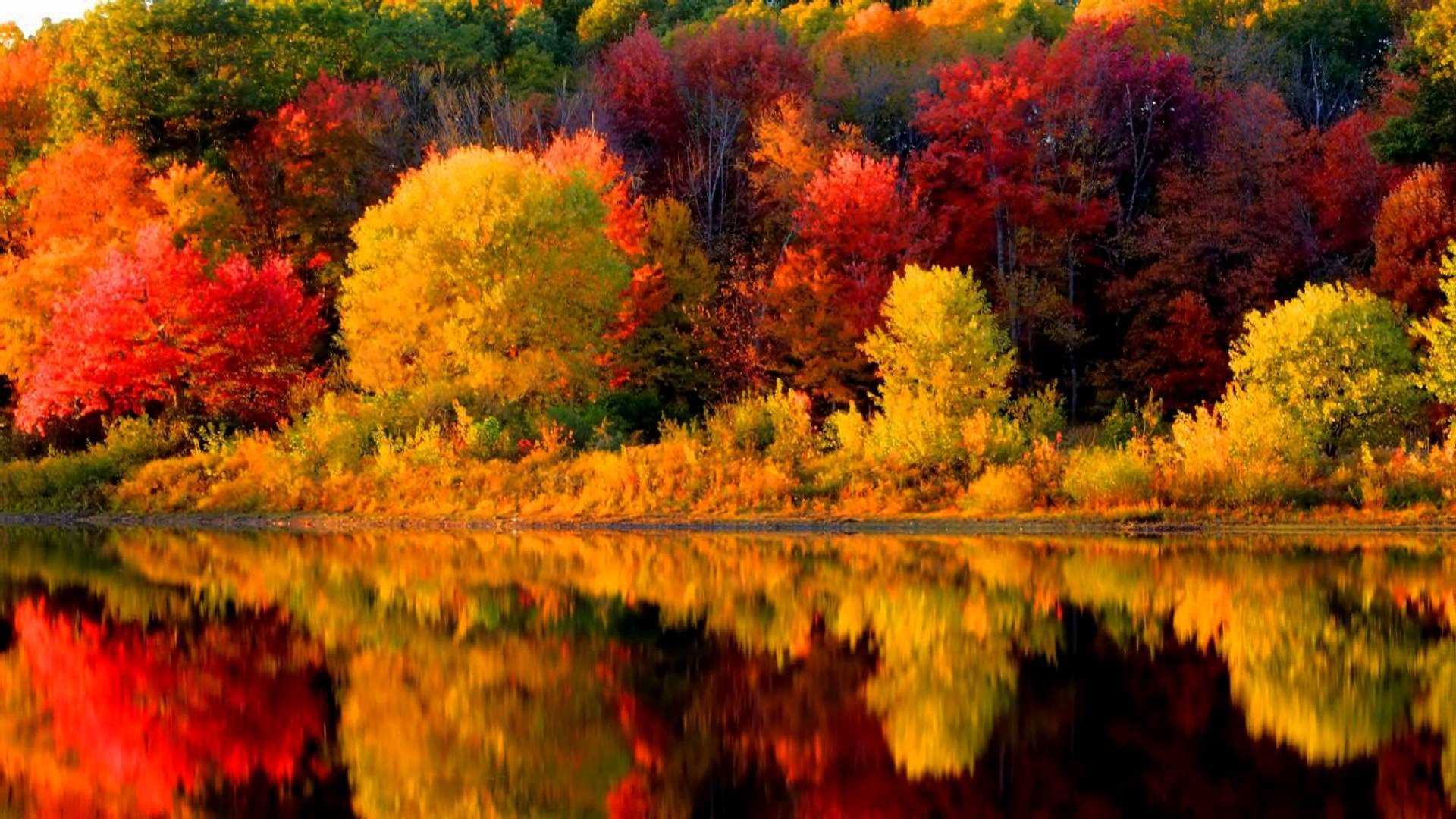 fall-foliage-2017-new-england-1920x1080-wallpaper-teahub-io