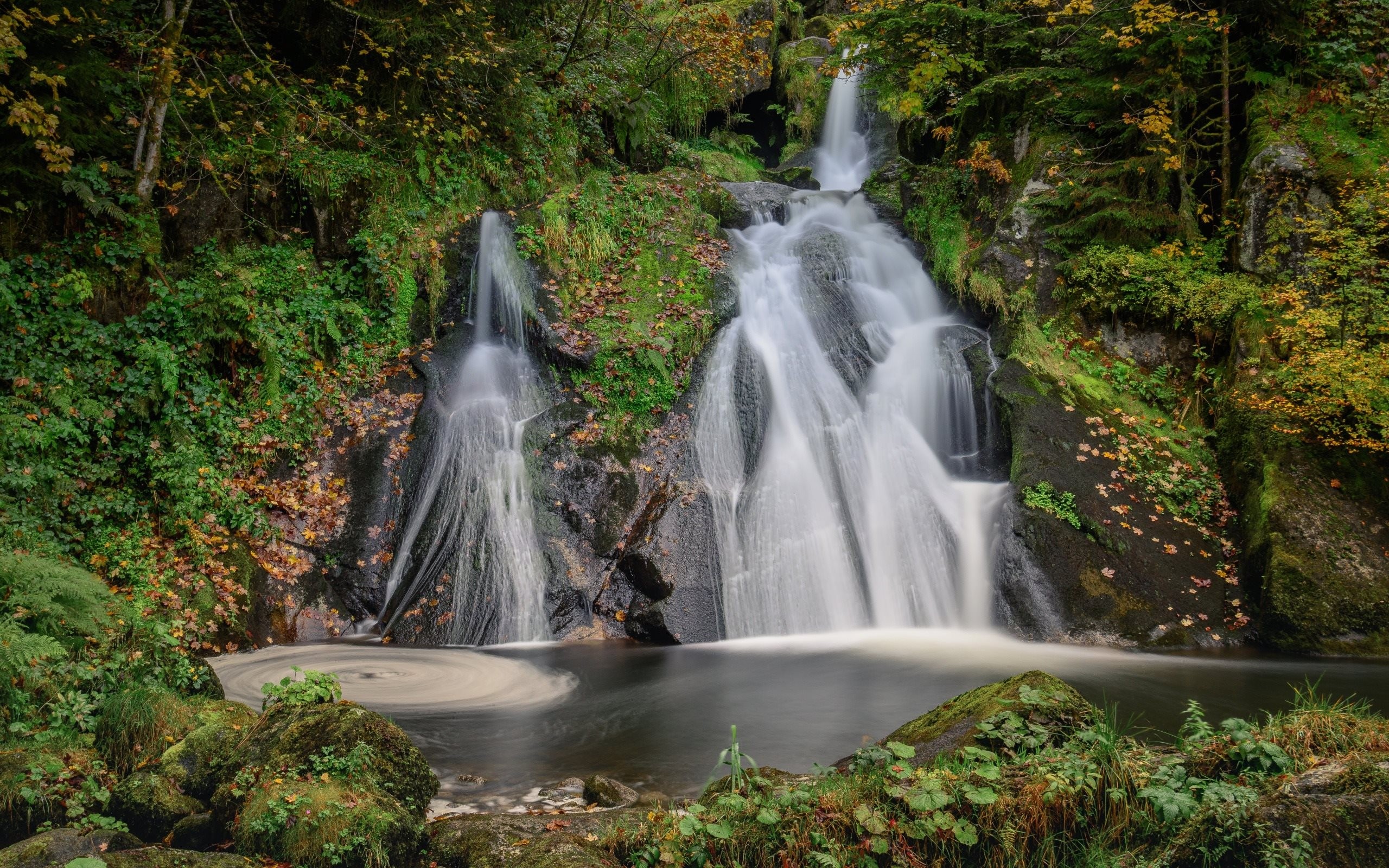 Waterfalls In The Forest Mobile Wallpapers Top Wallpaper - Triberg Waterfalls - HD Wallpaper 