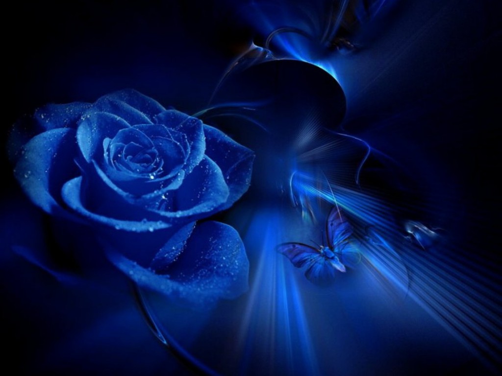 Blue Beauty Wallpaper - Blue Rose Angel - 1024x768 Wallpaper 