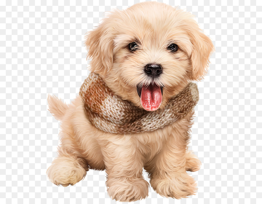 Christmas Cute Puppies Transparent - 900x700 Wallpaper - teahub.io