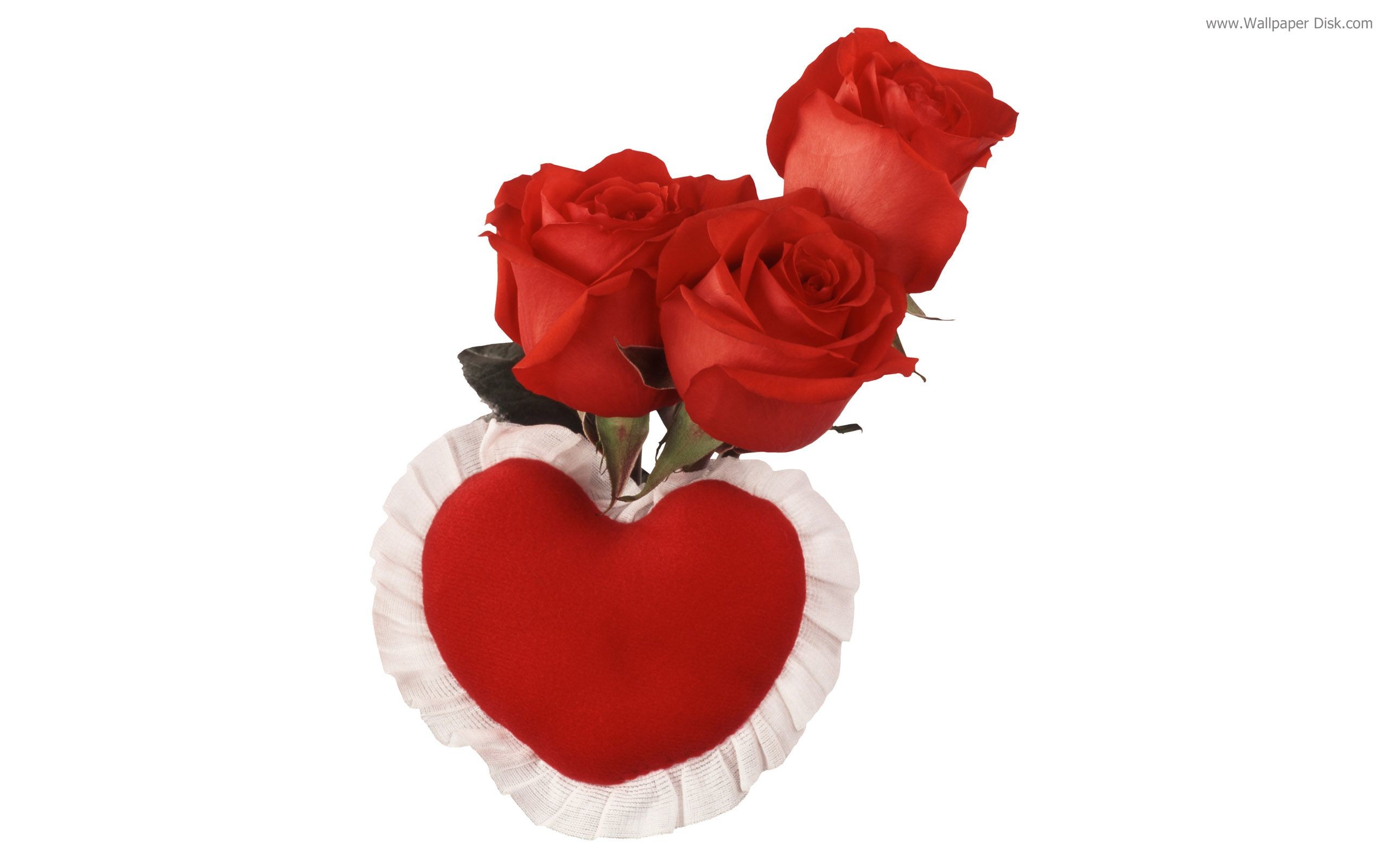 Red Rose Live Wallpaper Android Apps On Google Play - Beautiful Rose For Rose Day - HD Wallpaper 