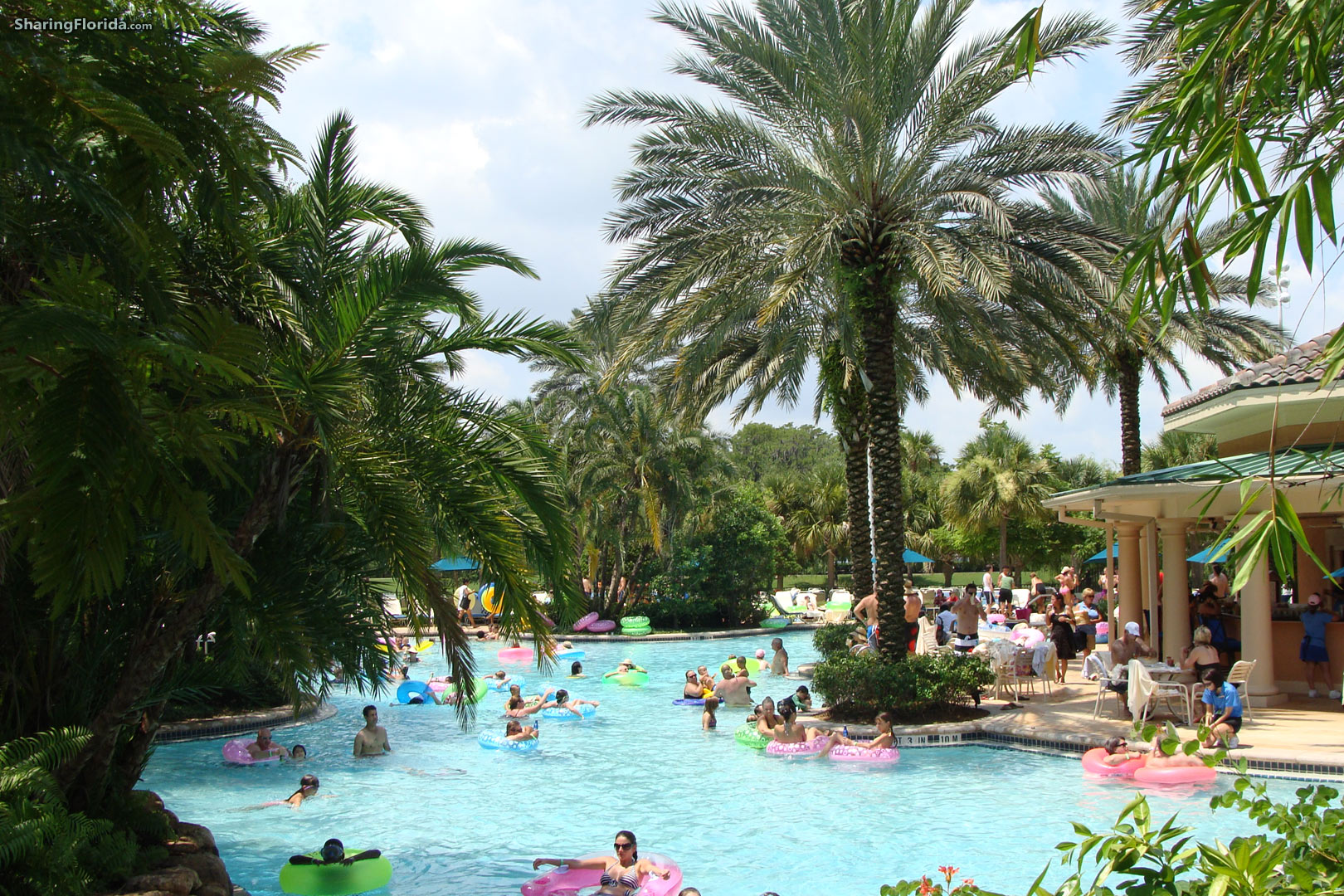 Download Orlando Florida Pictures Palm Trees - Teahub.io