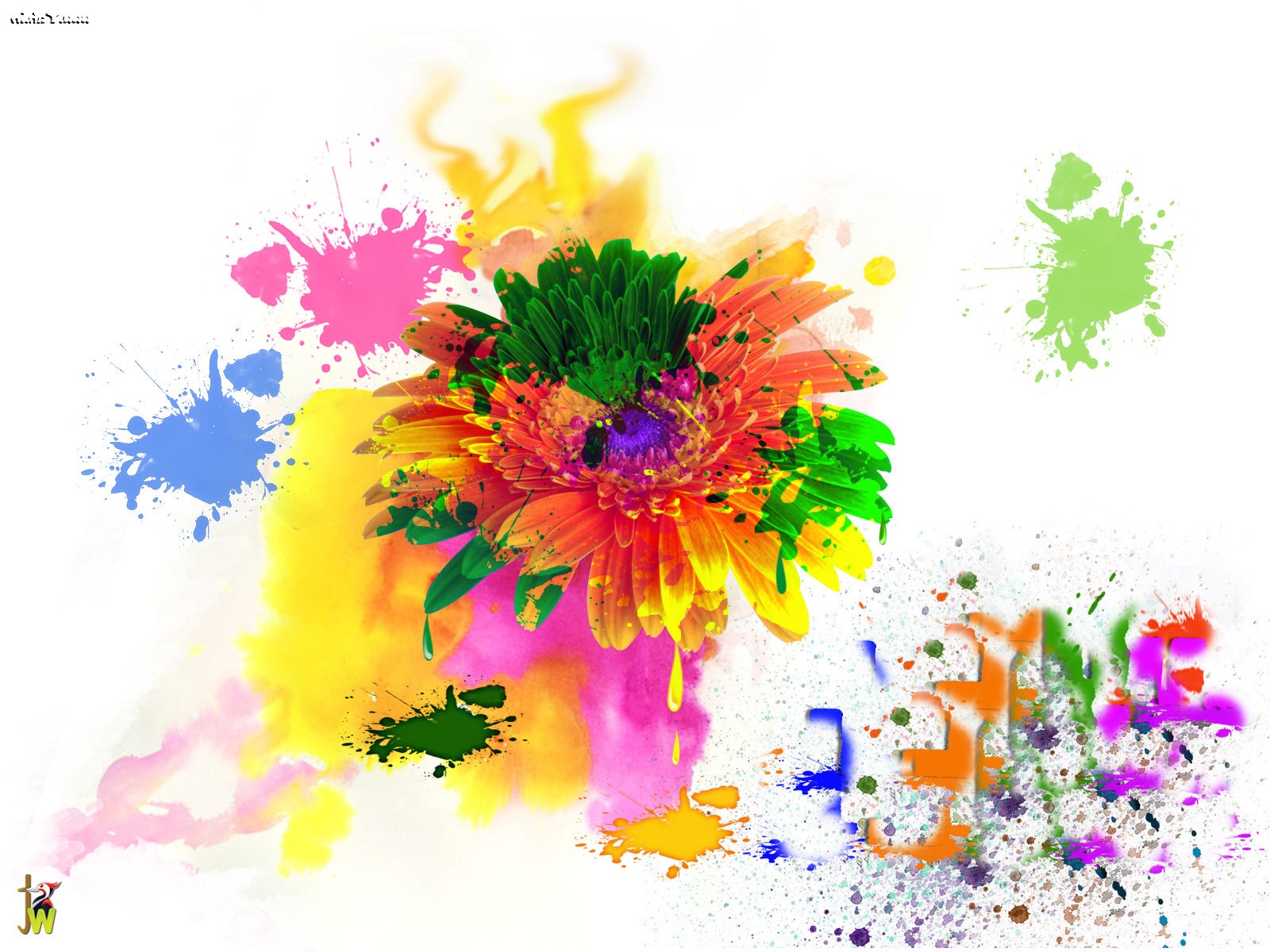 Holi Colours Wallpapers - Happy Holi In Advance - 1600x1200 Wallpaper -  
