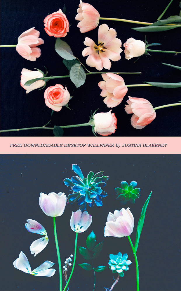 Free-downloadablepaper - Justina Blakeney Desktop Background - HD Wallpaper 