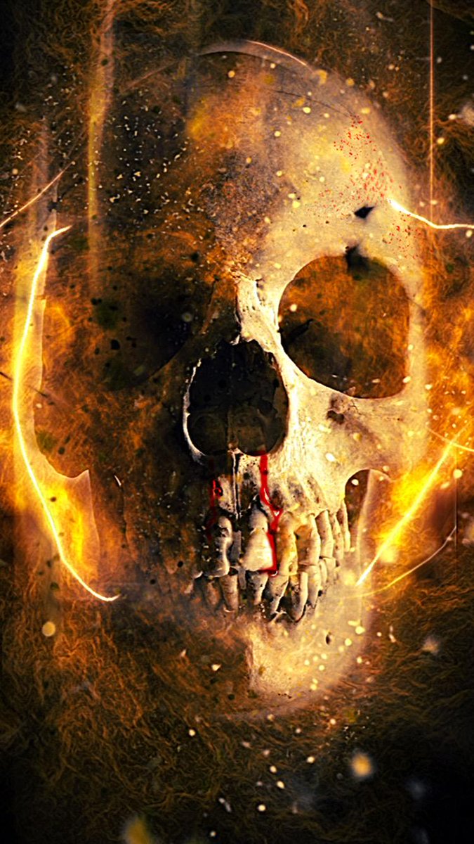 Skull - HD Wallpaper 