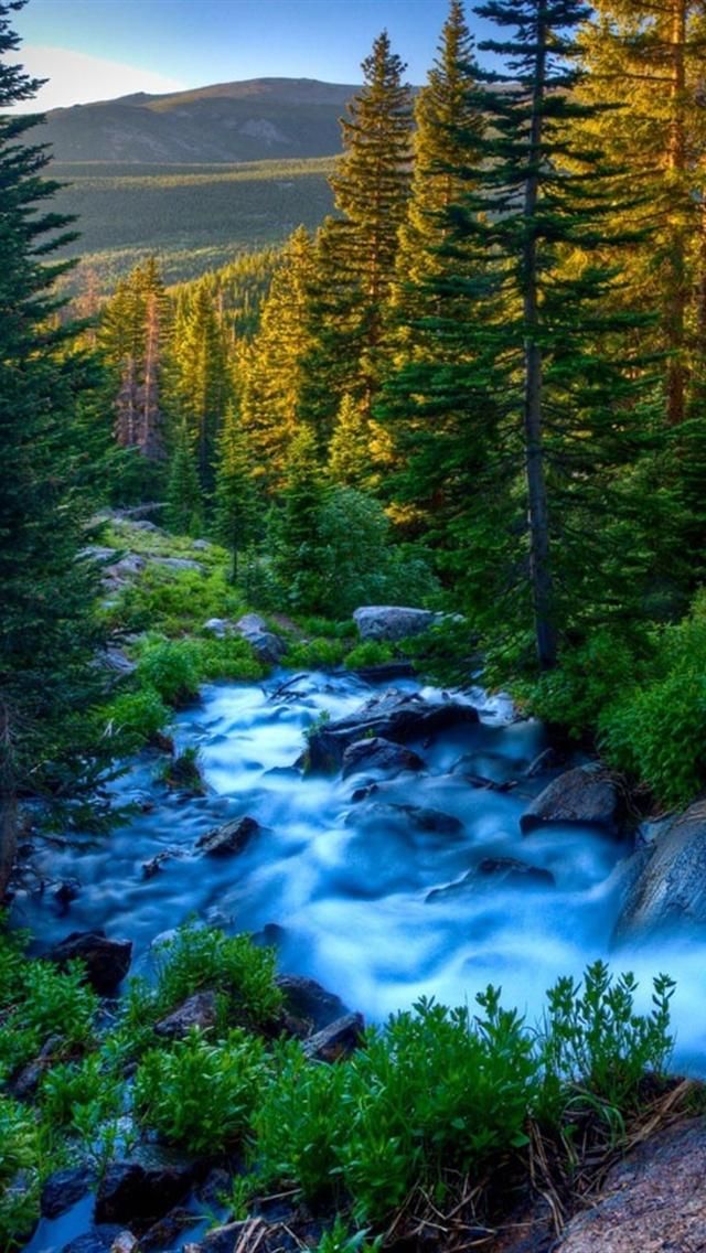 78 Images About Nature Wallpaper On Pinterest - Best Nature Wallpapers